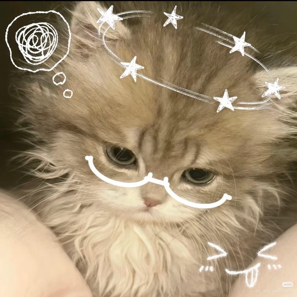 bambiblush